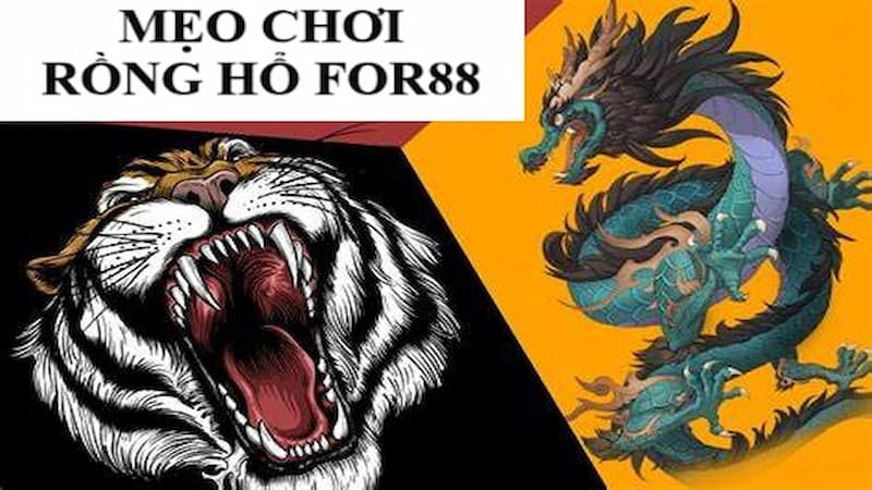 Áp dụng mẹo khi chơi rồng hổ FOR88