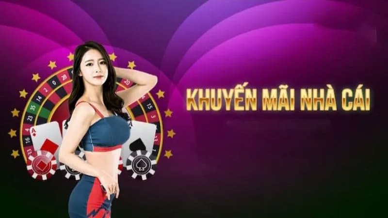 Các chương trình khuyến mãi đặc biệt