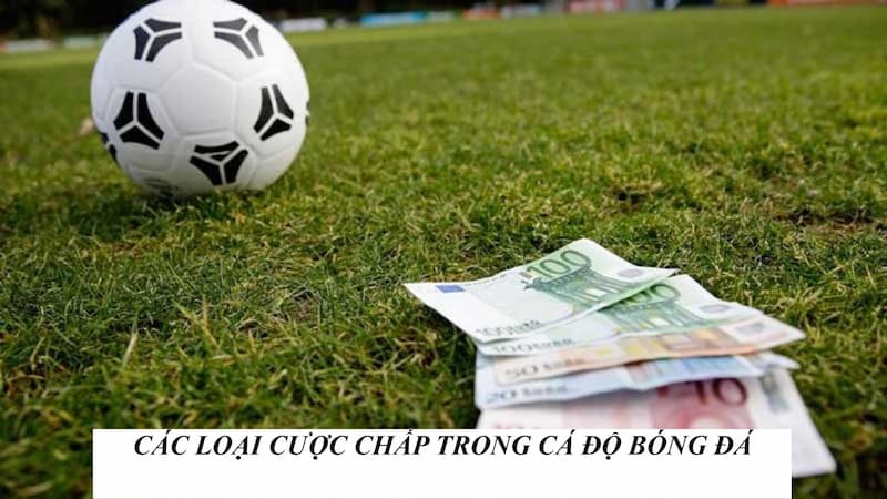 Các kèo chấp cược thể thao phổ biến
