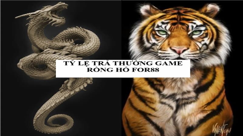 Rồng hổ khả năng trả thưởng cực cao